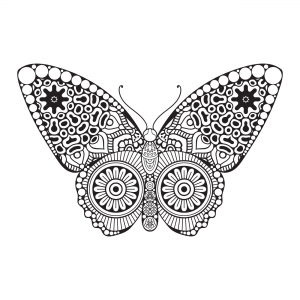Mandala della Farfalla